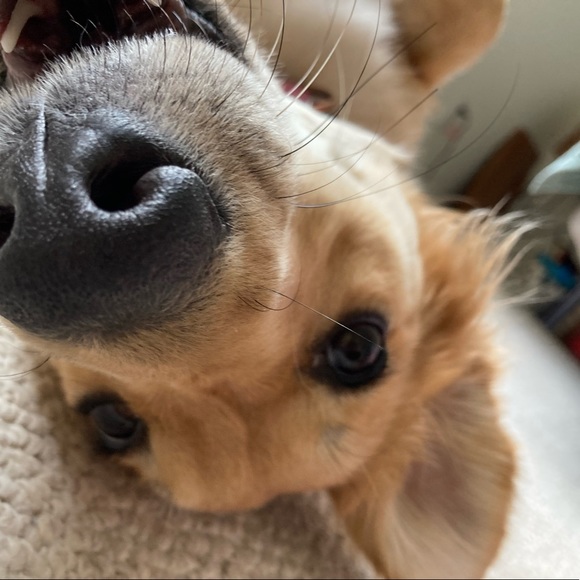 Meet your Posher, Michelle - Picture 1 of 2